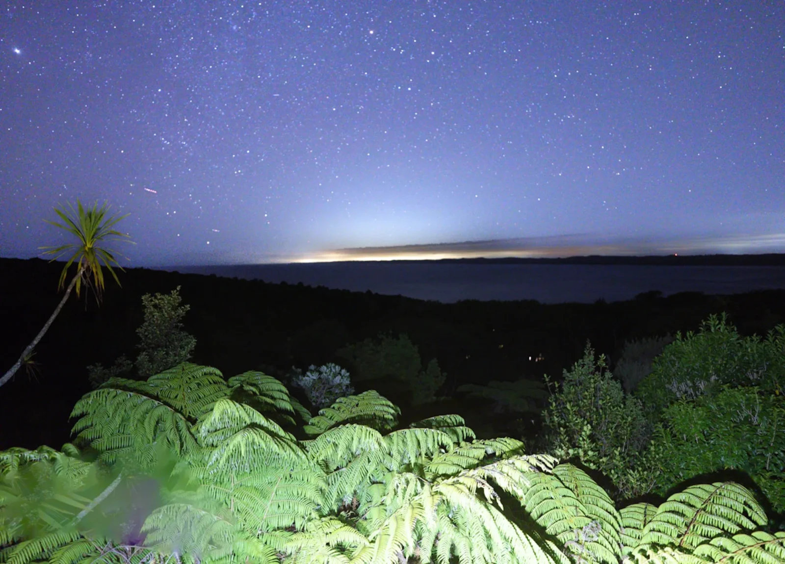 Night sky view at Totara Enclave