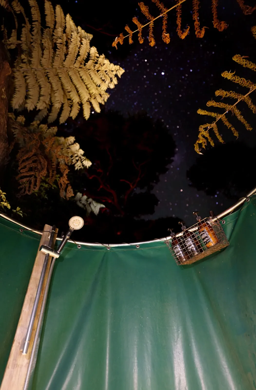 Night sky view from inside the outdoor shower at Totara Enclave