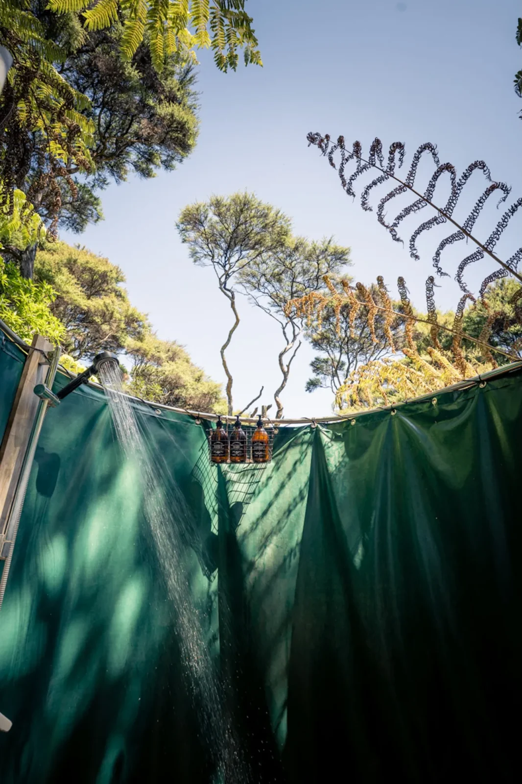 View of trees and sky from inside the outdoor shower at Totara Enclave